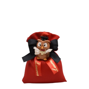 bomboniera sacchetti laurea con gufetto